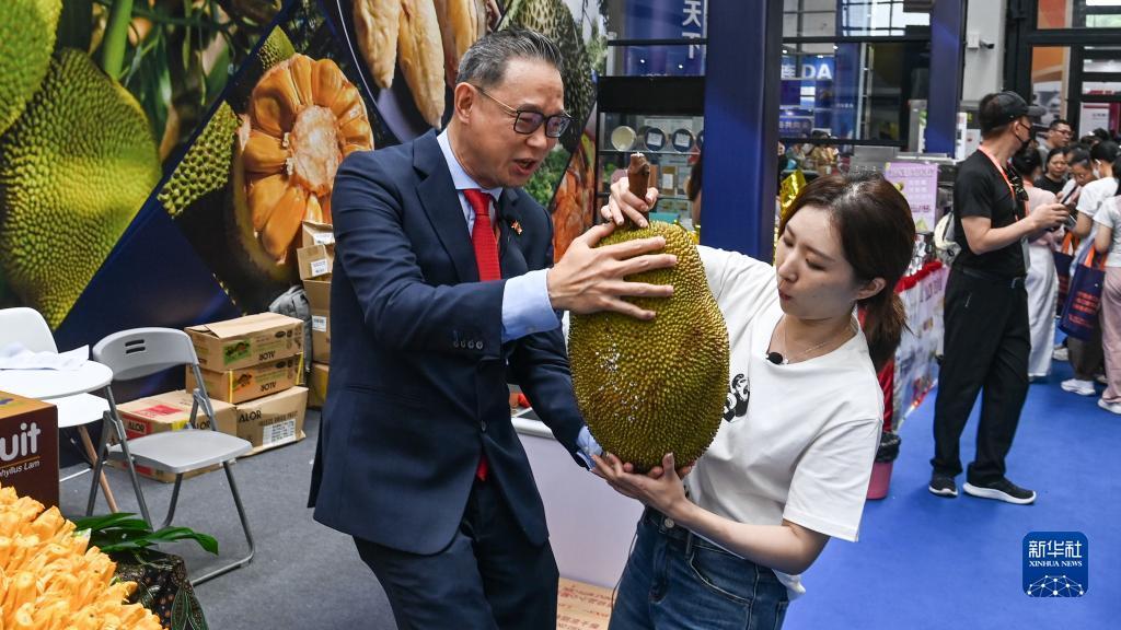 赌币机下载